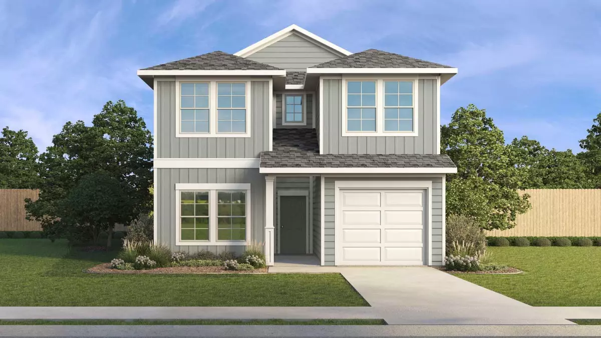 Uhland, TX 78640,215 Celosia LOOP