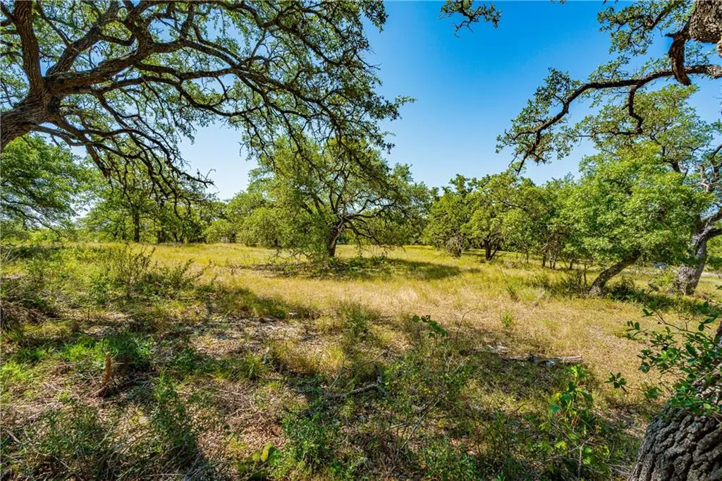 Dripping Springs, TX 78620,526 Dario DR