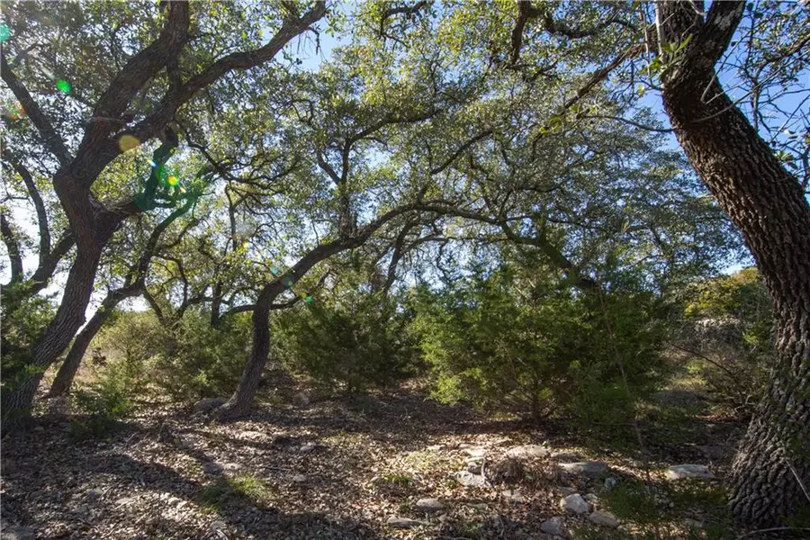 TBD Flanders, Fischer, TX 78623