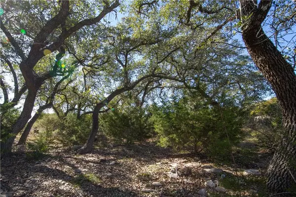 TBD Flanders,  Fischer,  TX 78623