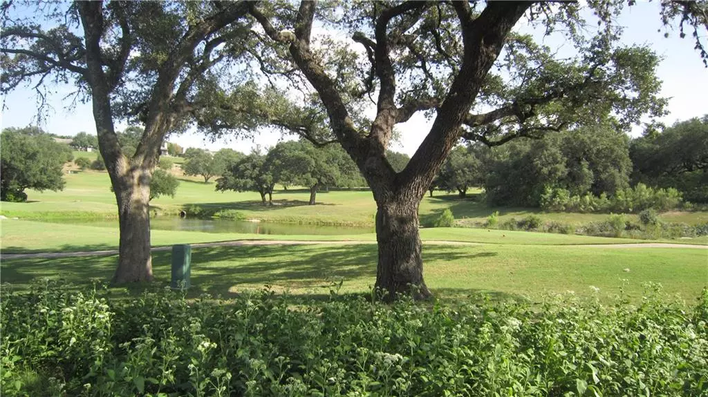 Spicewood, TX 78669,14 Hidden Springs CT