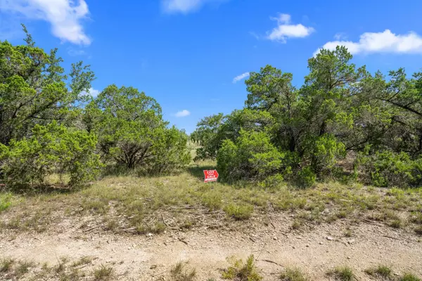 Dripping Springs, TX 78620,Lot G (Subdivided) Mirela Ann RD