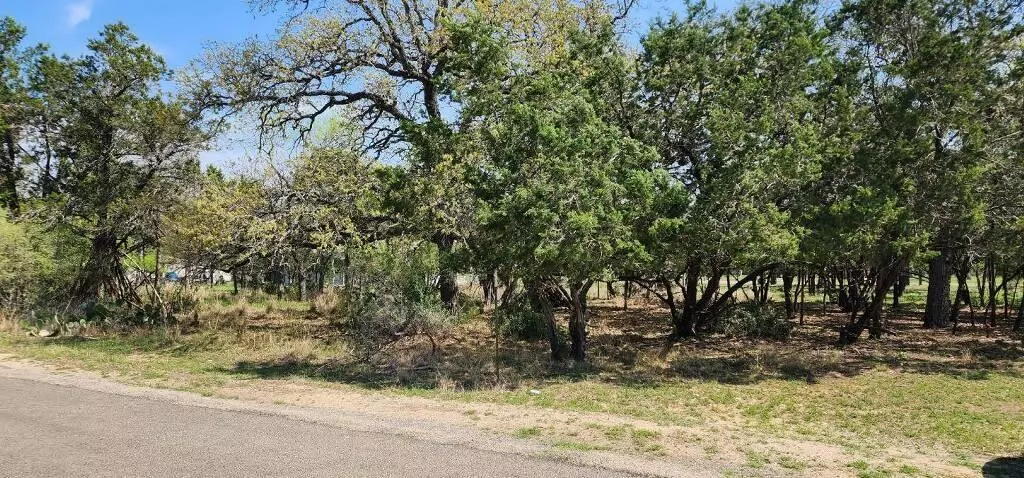 Cottonwood Shores, TX 78657,Lot 308 Cypress LN