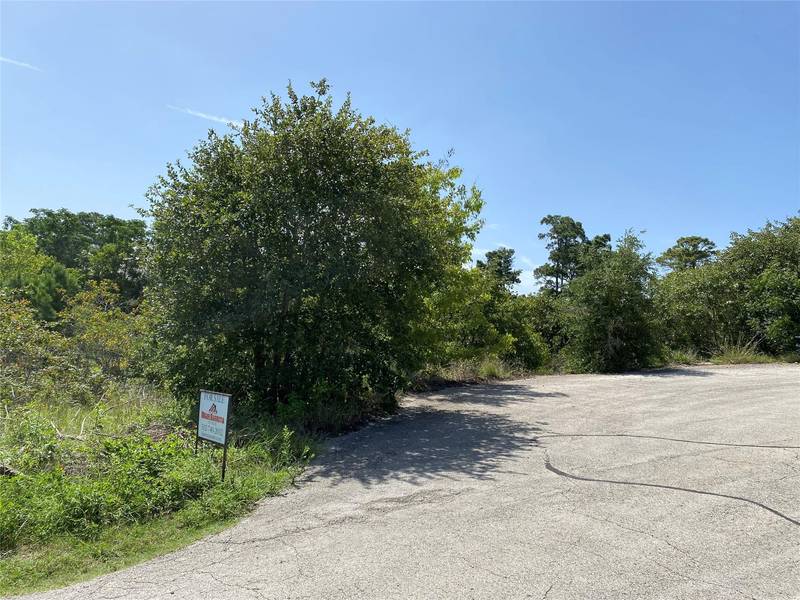 LOT 455 Hawea CT, Bastrop, TX 78602