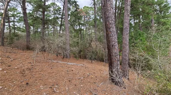 001 Haleakala DR, Bastrop, TX 78602