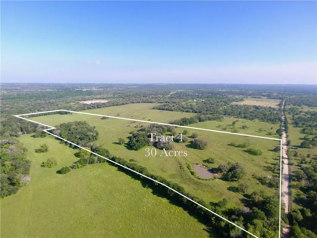 Flatonia, TX 78941,Tract 4 CR 398