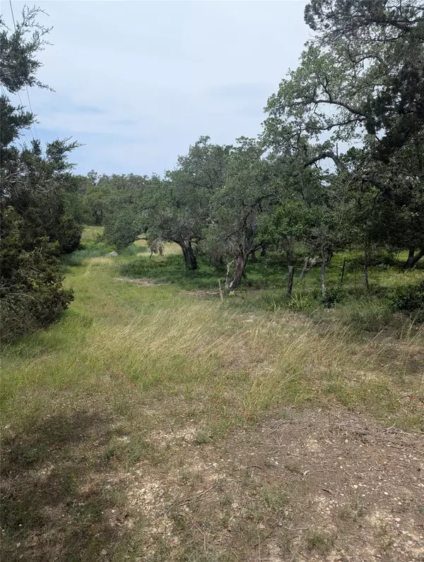 Bee Cave, TX 78738,Lot 2 Hamilton Pool RD