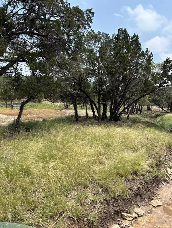 Dripping Springs, TX 78620,0 Old Red Ranch RD