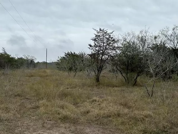 Flatonia, TX 78941,701 Patterson RD