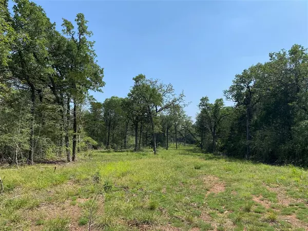 TBD High Crossing Rd - TRACT 10, Smithville, TX 78957