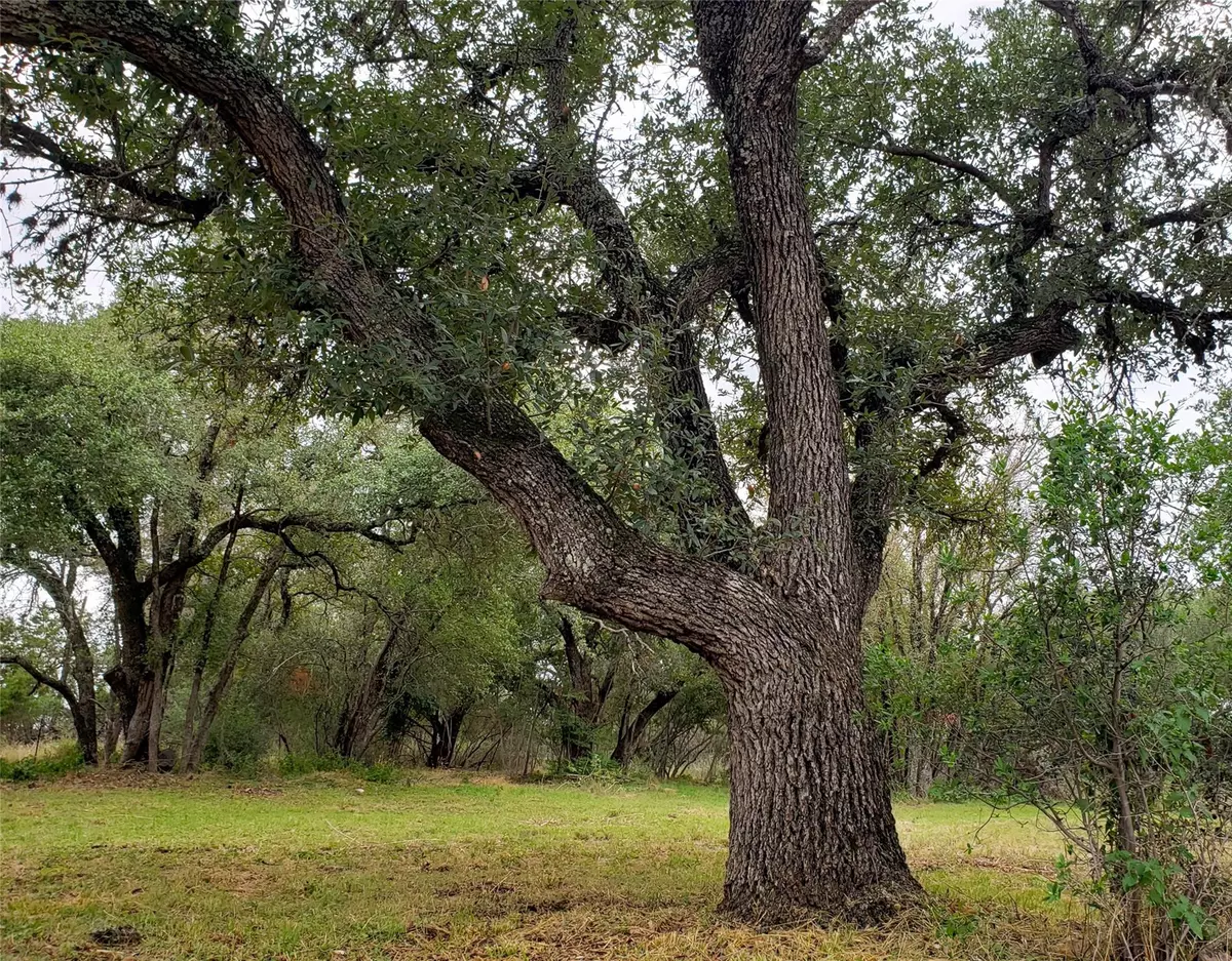Spicewood, TX 78669,0000 Sunfire