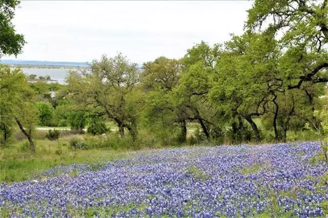 Buchanan Dam, TX 78609,Lot 17 Sierra BLF