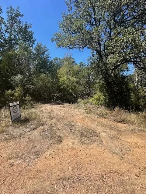 Bastrop, TX 78602,0 Tbd lot 102 and lot 100 Ripple Brook DR