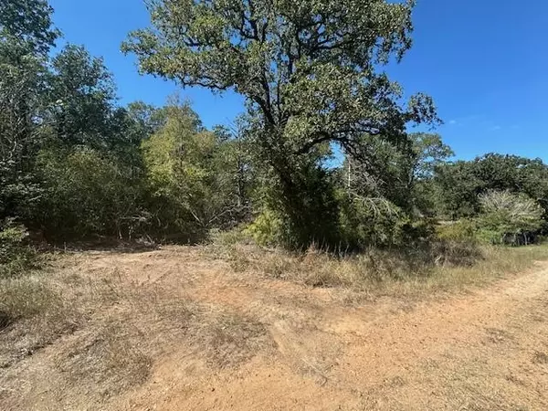 Bastrop, TX 78602,0 Tbd lot 102 and lot 100 Ripple Brook DR