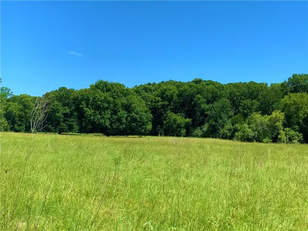 Flatonia, TX 78941,001 Roy RD