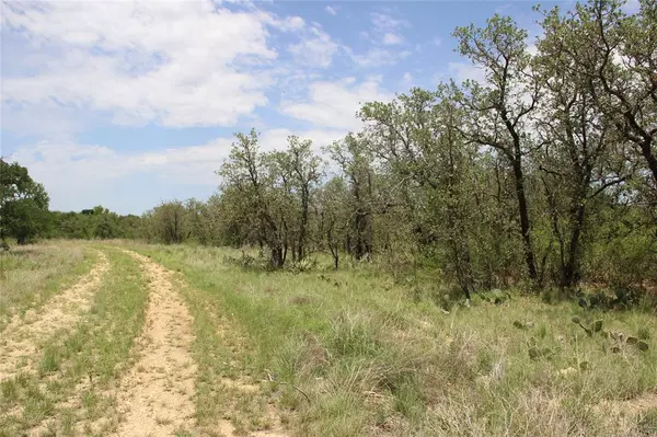 03 County Road 134, Brownwood, TX 76801