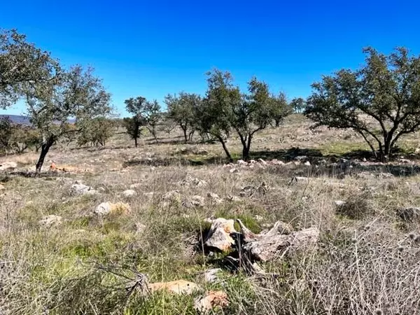 Kingsland, TX 78639,Lot 202 TBD Westridge Way, Big Creek Ranch