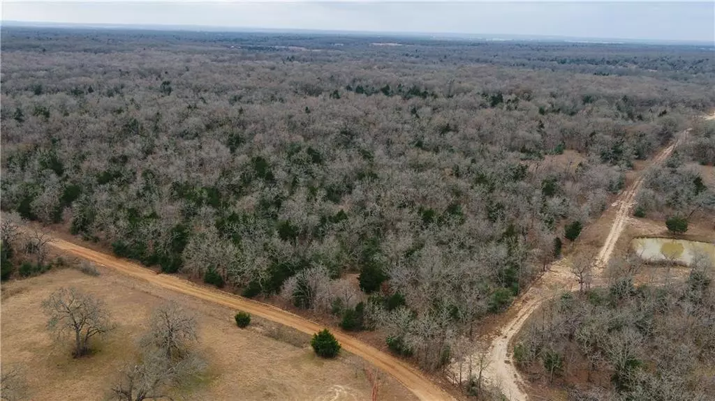 Cameron, TX 76520,0000 CR 258 #1