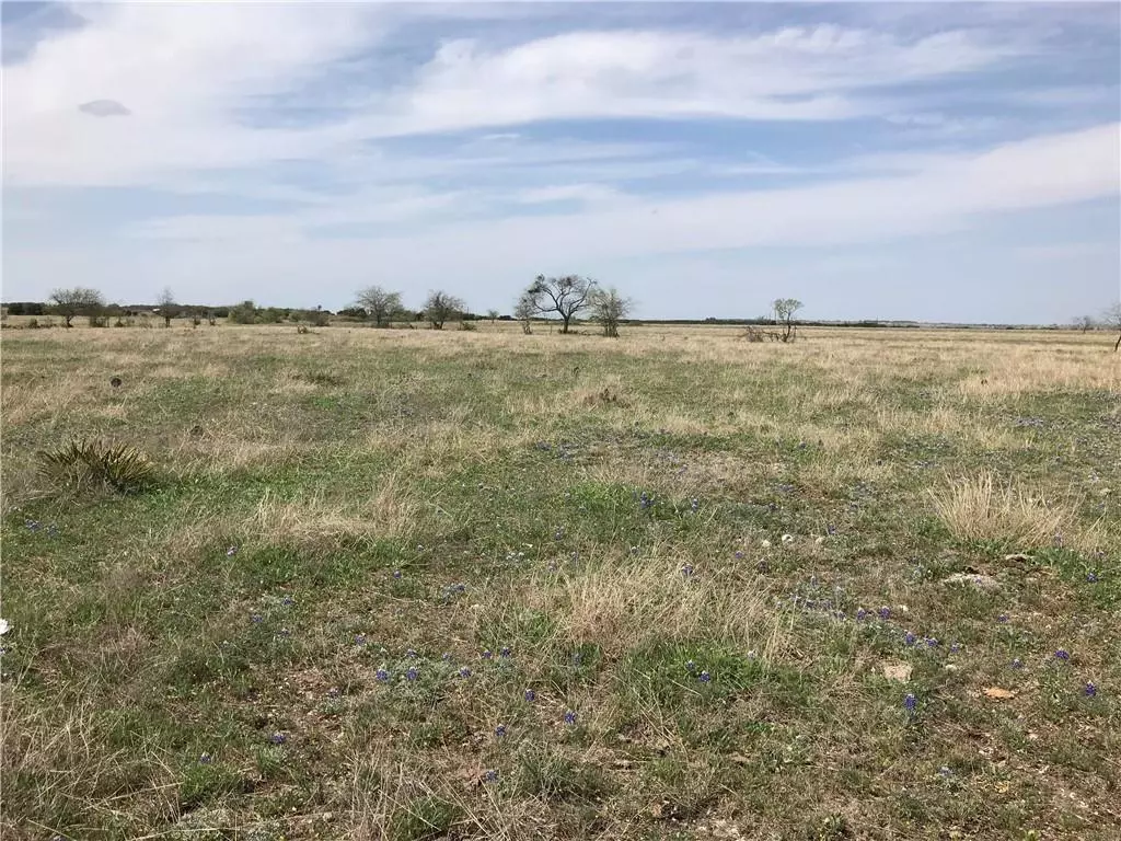 Bertram, TX 78605,Lot 46 Daniel DR