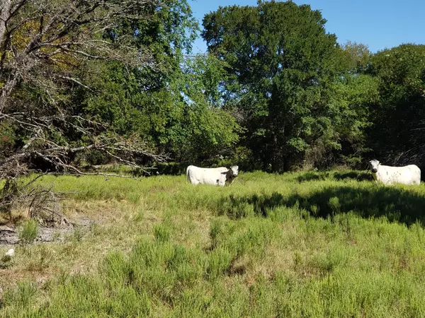 Lampasas, TX 76550,339 County Road 3500