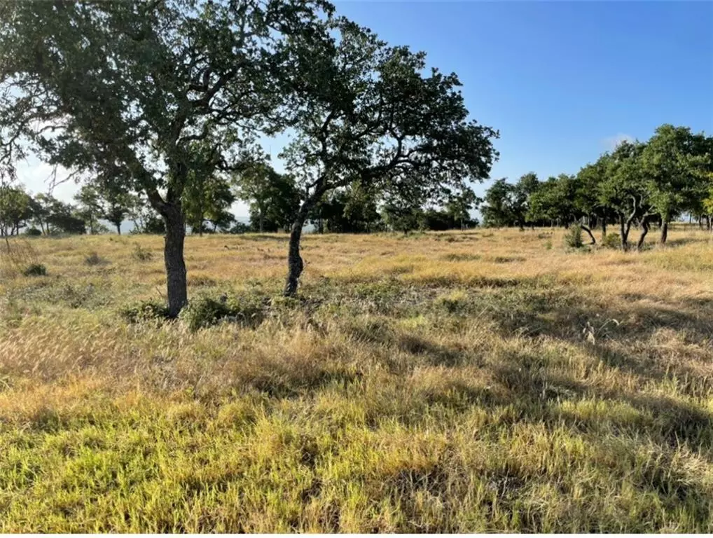 Kempner, TX 76539,Lot 38 Cottonwood Mesa DR