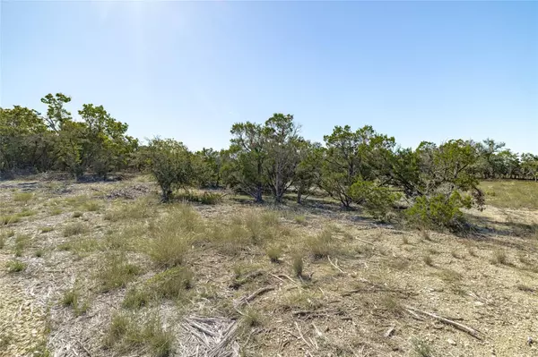 Leander, TX 78641,TBD County Road 281 Lot 2