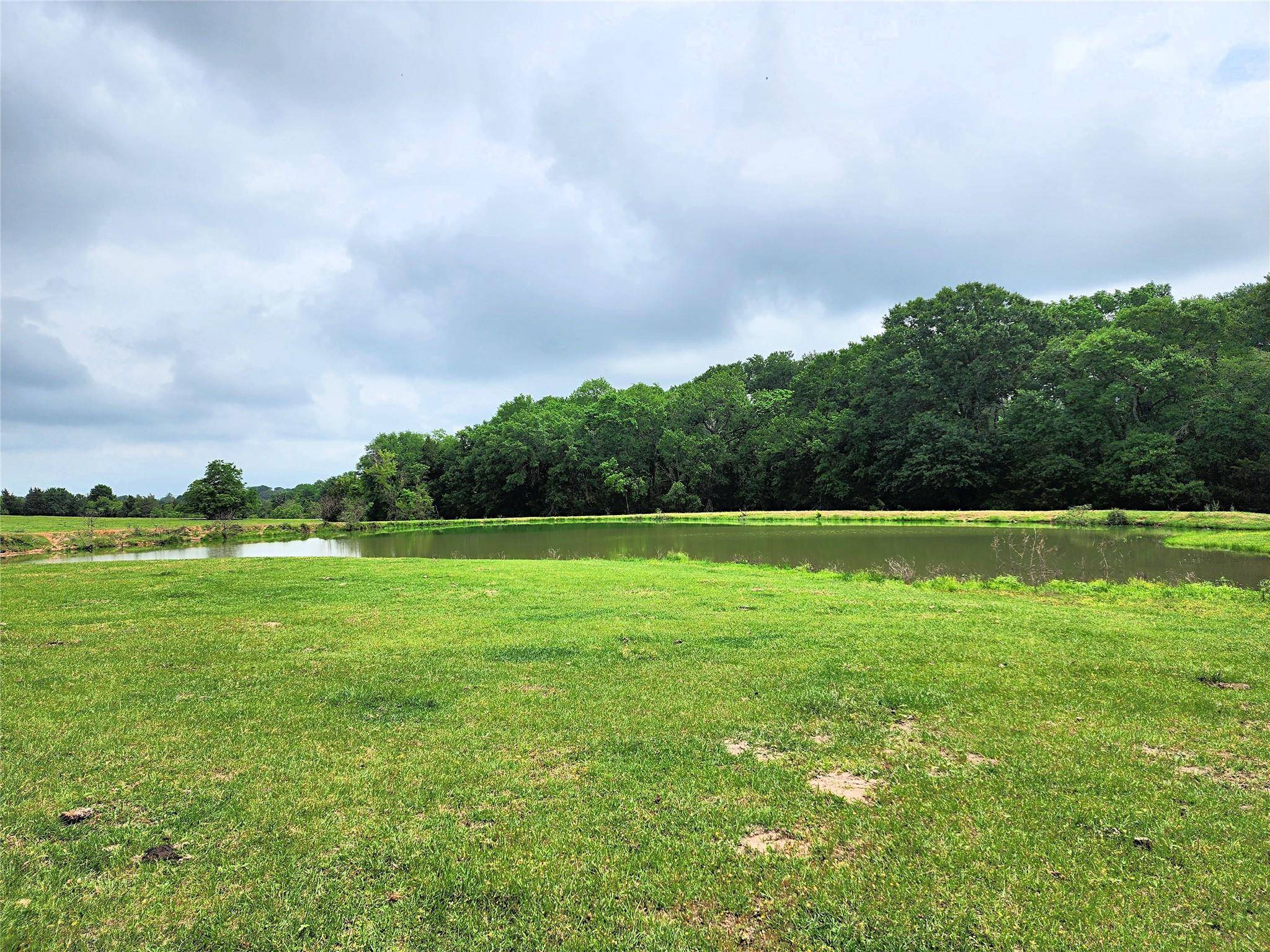 4125 Old Navasota RD, Brenham, TX 77833