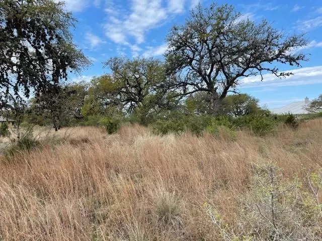 Spring Branch, TX 78070,1058 Fabled Way
