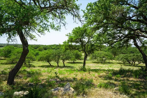 Dripping Springs, TX 78620,Address not disclosed