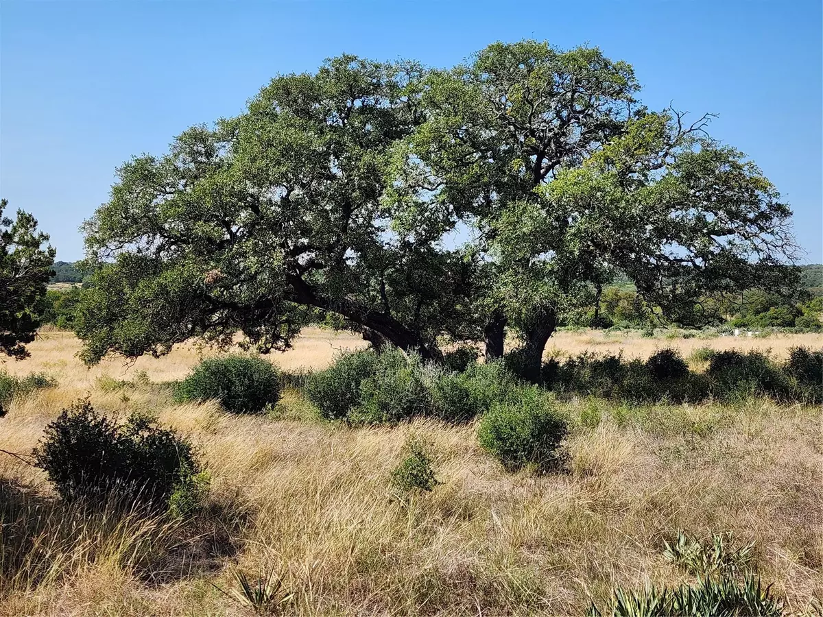 Salado, TX 76571,13586 Crows Ranch RD