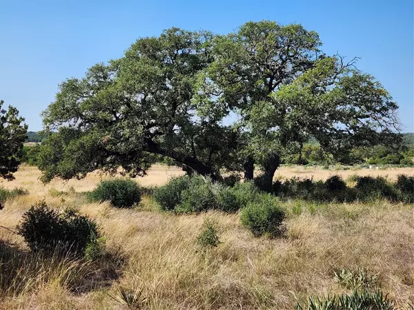 13586 Crows Ranch RD,  Salado,  TX 76571