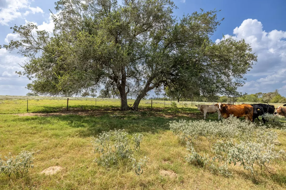 Gonzales, TX 78629,4725 Fm 532 E