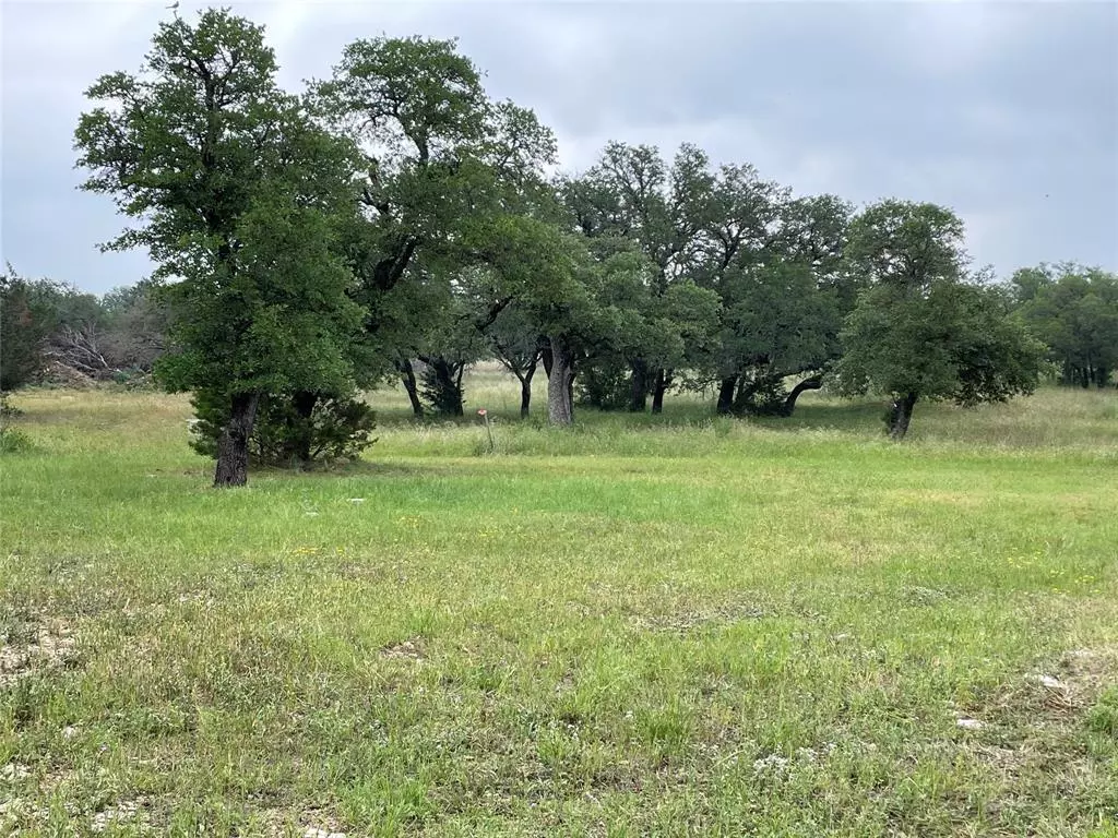 Burnet, TX 78611,Lot 13 Avery SPUR