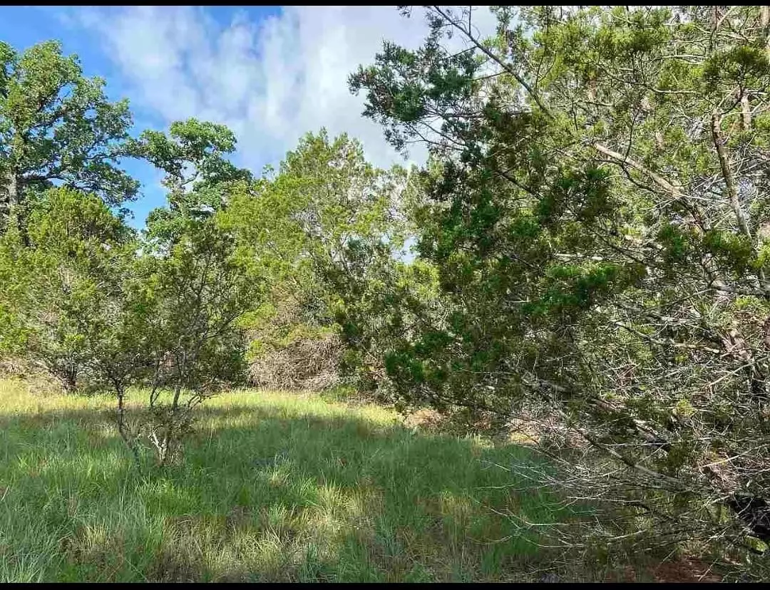 Horseshoe Bay, TX 78657,K10041 Bald Eagle