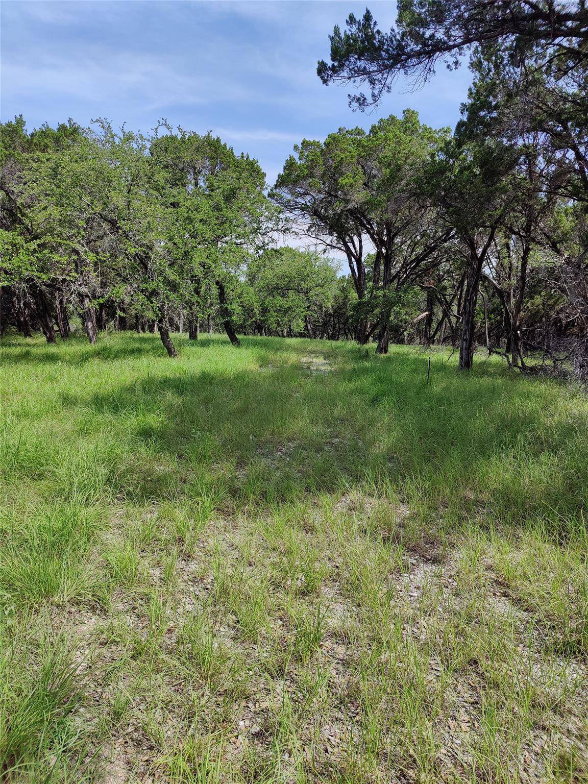 Spicewood, TX 78669,14-A CAROL CV