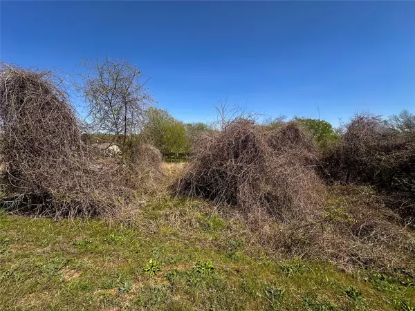 Bastrop, TX 78602,100 Paia LN