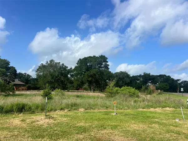 Bastrop, TX 78602,175 Cassena RNCH