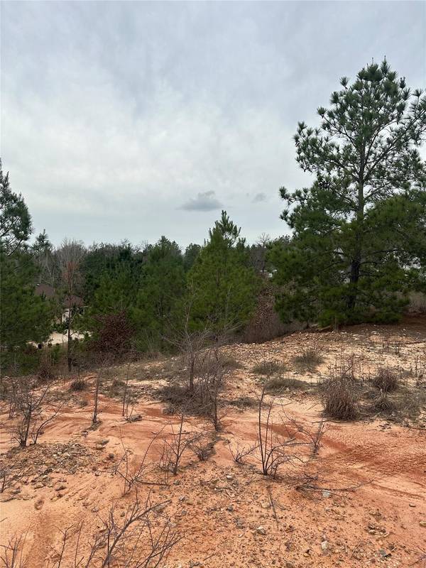 000 Tall Forest DR, Bastrop, TX 78602