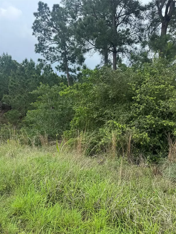 Bastrop, TX 78602,Lots 1612, 1613, 1614 Kaanapali LN