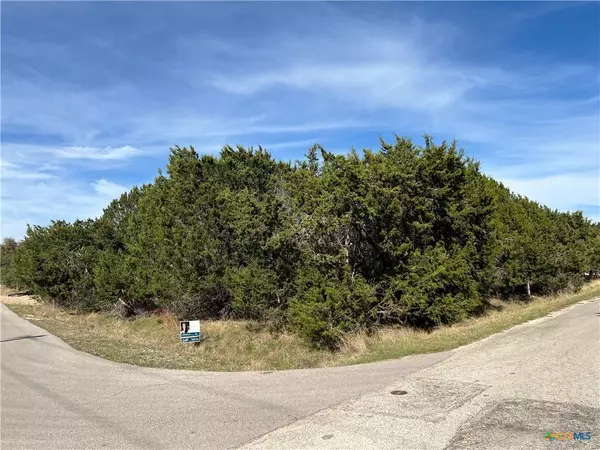 Lago Vista, TX 78645,4201 Hillside DR