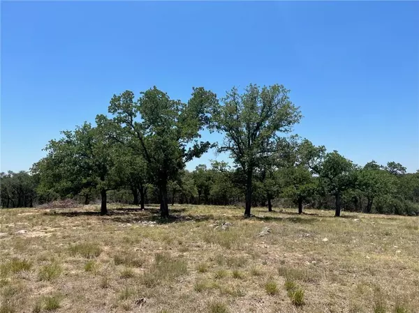 Round Mountain, TX 78663,349 Lilly LN