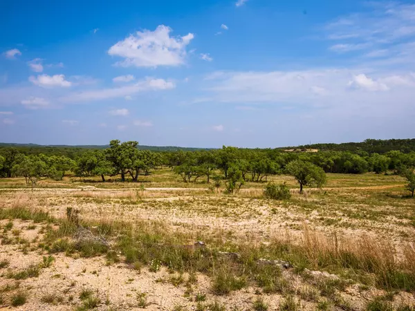 Dripping Springs, TX 78676,Address not disclosed