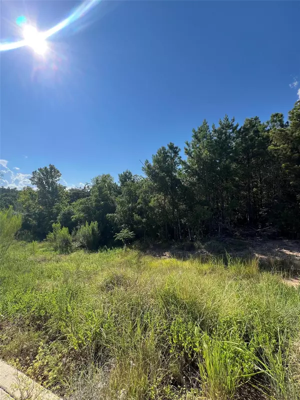 Bastrop, TX 78602,TBD Poi CT