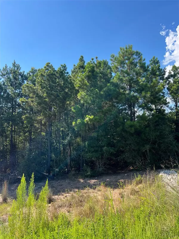 Bastrop, TX 78602,TBD Poi CT