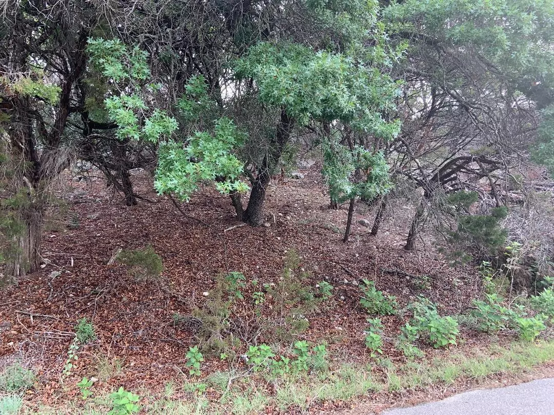 Lago Vista, TX 78645,20608 Palo Duro DR