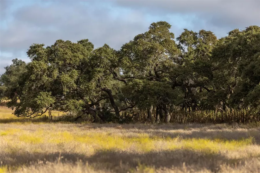Lot 1 Legacy Hills DR, Johnson City, TX 78636