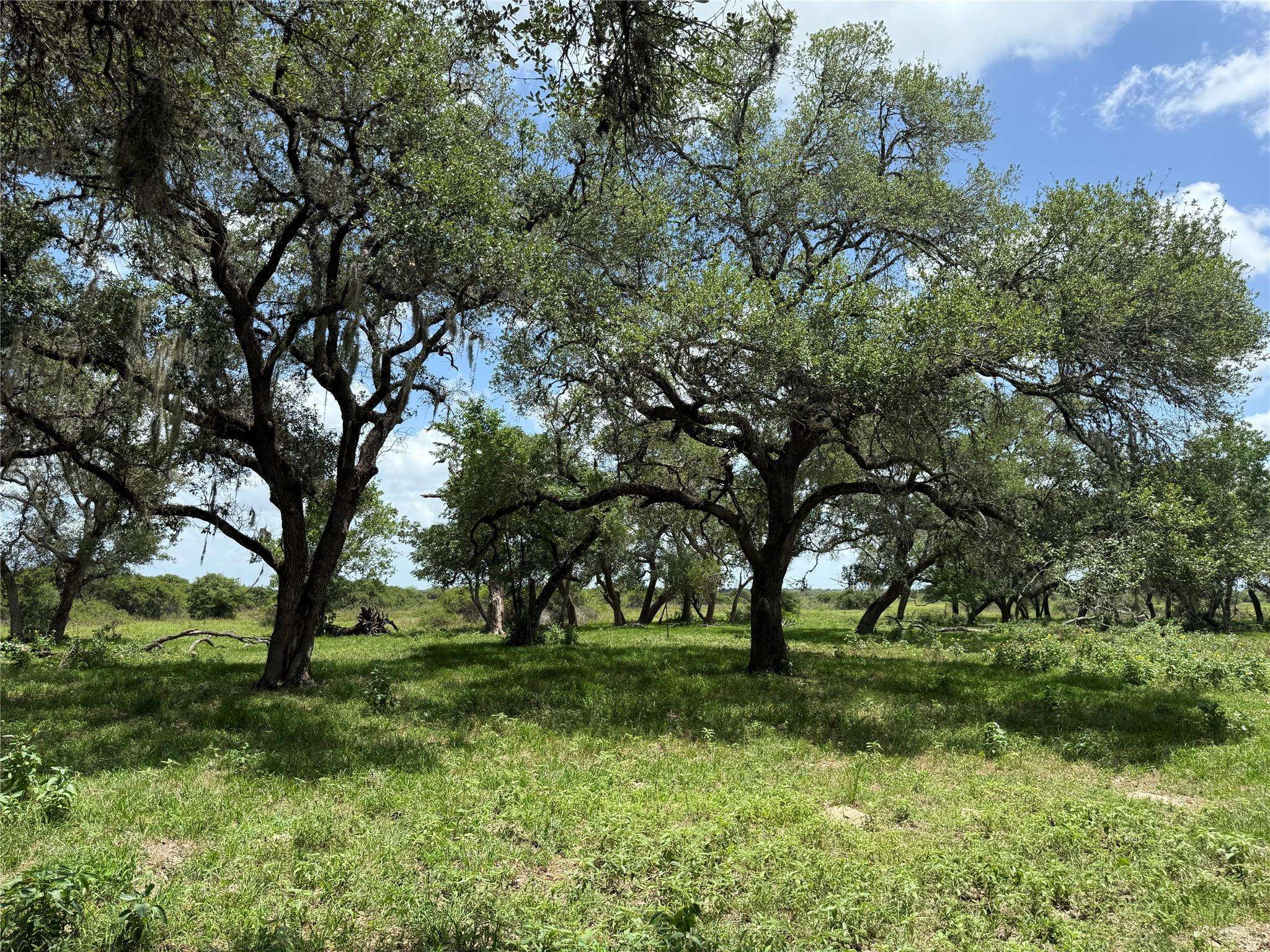 Edna, TX 77957,0000 County Road 18