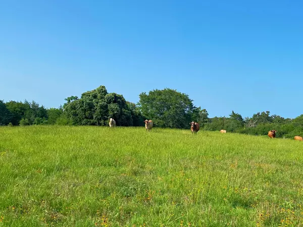 Burton, TX 77835,7800 Farm to Market 1948 RD W