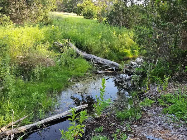 Bertram, TX 78605,LOT 25 RIPARIAN ELM RD