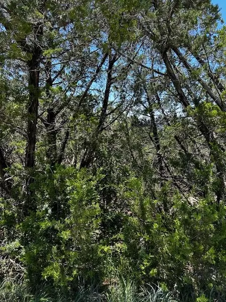 8402 Bronco LN, Lago Vista, TX 78645